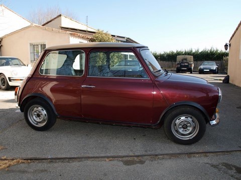 Mini Austin 